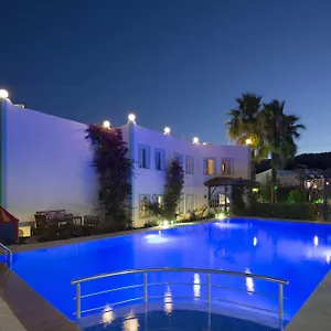 istanbul-hotel-bodrum.aegeanhotels.net/
